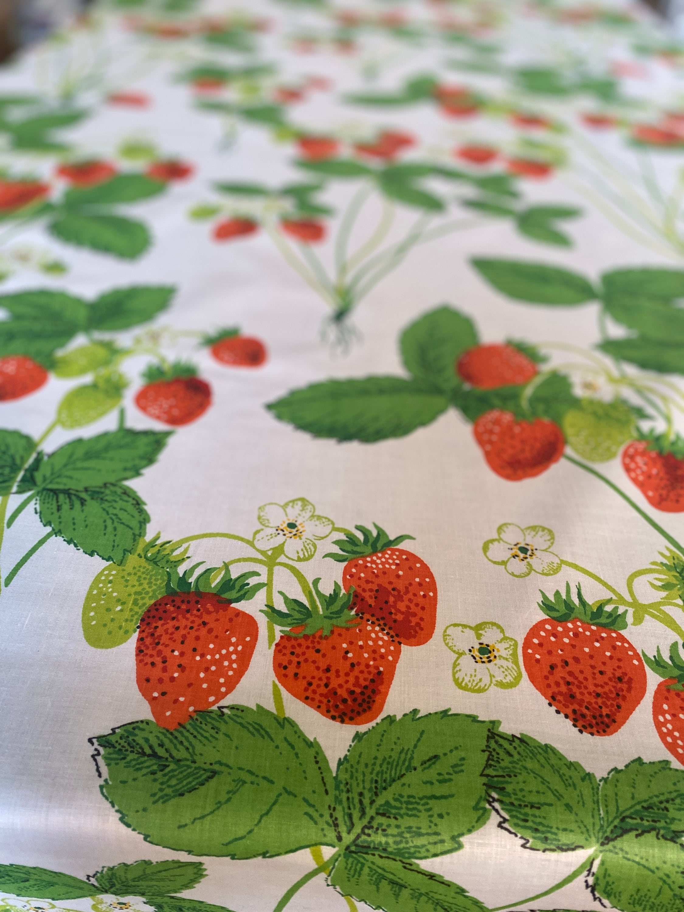 strawberryページ Amazon.com | Strawberry Shortcake Vintage Berry Sweet Poster