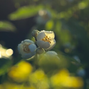 after rain