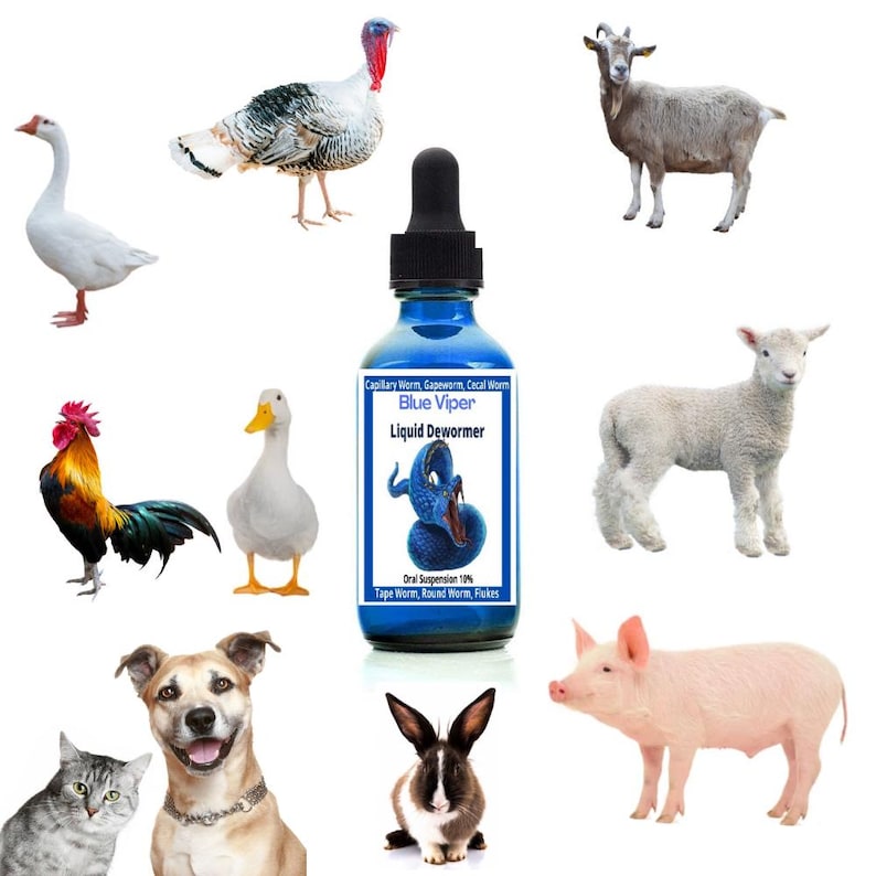 May include: A blue bottle with a dropper labeled "Blue Viper Liquid Dewormer" for treating various types of worms in animals. The bottle is surrounded by a variety of farm animals, including a goat, a sheep, a pig, a turkey, a duck, a goose, a rooster, a rabbit, a dog, and a cat.