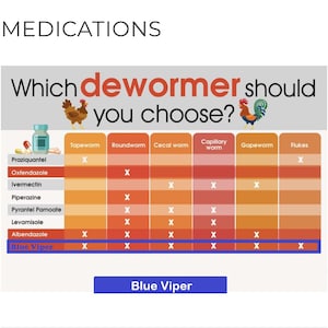 Blue Viper Dewormer in Water for Turkeys, Rabbit, Dogs, Cats, Sheep, Parrots, Chickens image 2