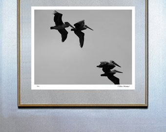 surf decor hawaiian decor hawaiian art surf board surf art Four Brown Pelicans Fine Art Photo By Michael Verlangieri