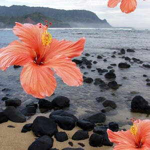 Hanalei Bay Surf Art Print: Kauai Hawaiian Decor, Giclee Fine Art