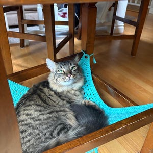 May include: A tabby cat with green eyes lies in a turquoise crochet hammock under a wooden chair. The cat has brown, grey, and black fur. The hammock is attached to the chair with turquoise yarn, creating a cosy cat bed.