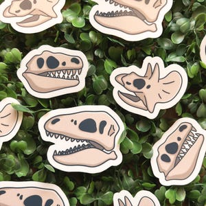 Dinoschädel Vinyl Sticker Trio | süße Zeichnung