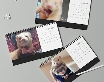 Frettchen TOP GEWINNER !! 2026 Tischkalender!