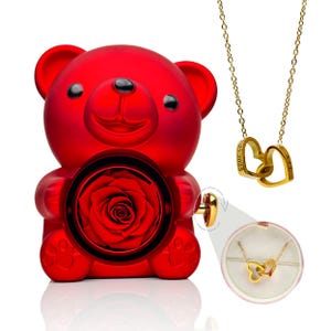 Può includere: Un oggetto decorativo a forma di orsetto rosso con una rosa conservata al centro. Viene mostrata anche una collana d'oro con due ciondoli a forma di cuore intrecciati. La collana è esposta in una piccola scatola rotonda.