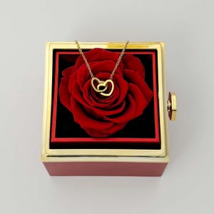Benutzerdefinierte Namenskette mit ewiger Rosenbox, personalisierte Herzhalskette, echte erhaltene Rose, Geschenk für sie