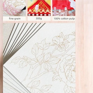 100% katoen aquarelpapier – 300 g professioneel fine art papier, 8 vellen voor aquarel schilderen en schetsen, kleurplaat