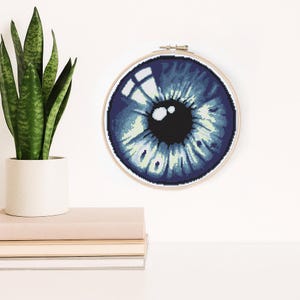 May include: A cross-stitch embroidery of a blue eye in a wooden hoop. The eye features shades of blue and white, with a black pupil. The artwork is displayed on a white wall, with a potted plant and books in the foreground.