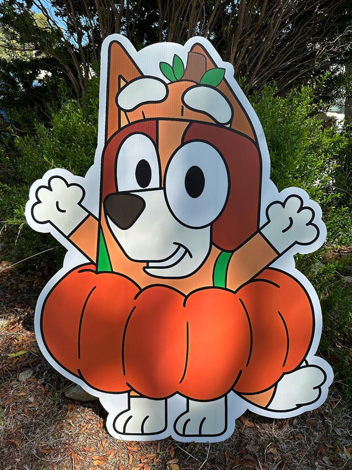 Bluey - Bingo Halloween Props, Bluey Cartoon Decorations, Bluey Cartoon ...