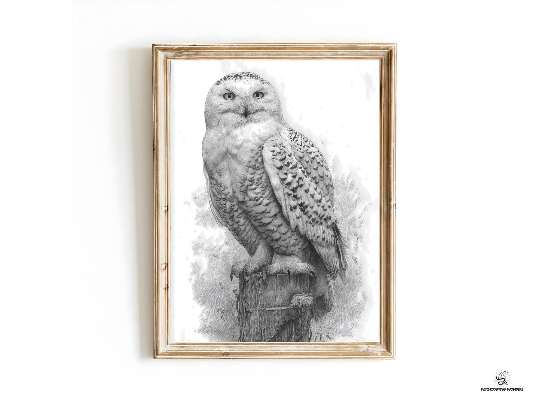 Snowy Owl Hedwig Inspired Pencil Drawing &ndash; Black and White Owl Wall Art, Minimalist Wildlife I