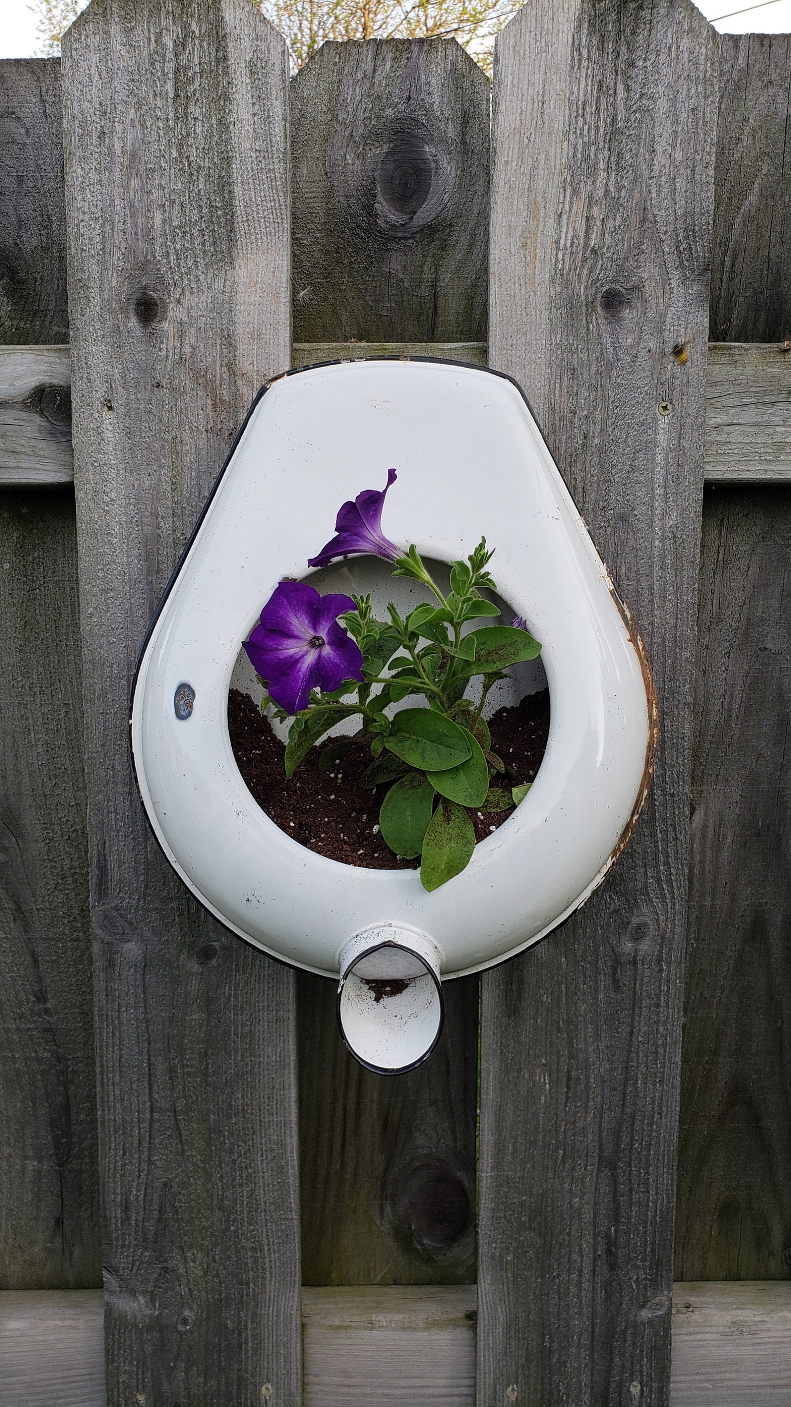 Vintage Enamel Urinal Bed Pan Flower Planter Graniteware Etsy