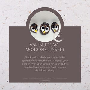 May include: Three walnut owl charms with brown, white, and yellow details. The text reads "WALNUT OWL WISDOM CHARMS". These charms are designed to be kept on your person or with your keys.