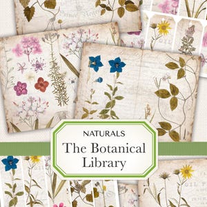 自然にインスパイアされたパレットの植物図書館、印刷可能な紙、ブックカバー、ブックマーク、ギフトタグを備えたジャンクジャーナルキット