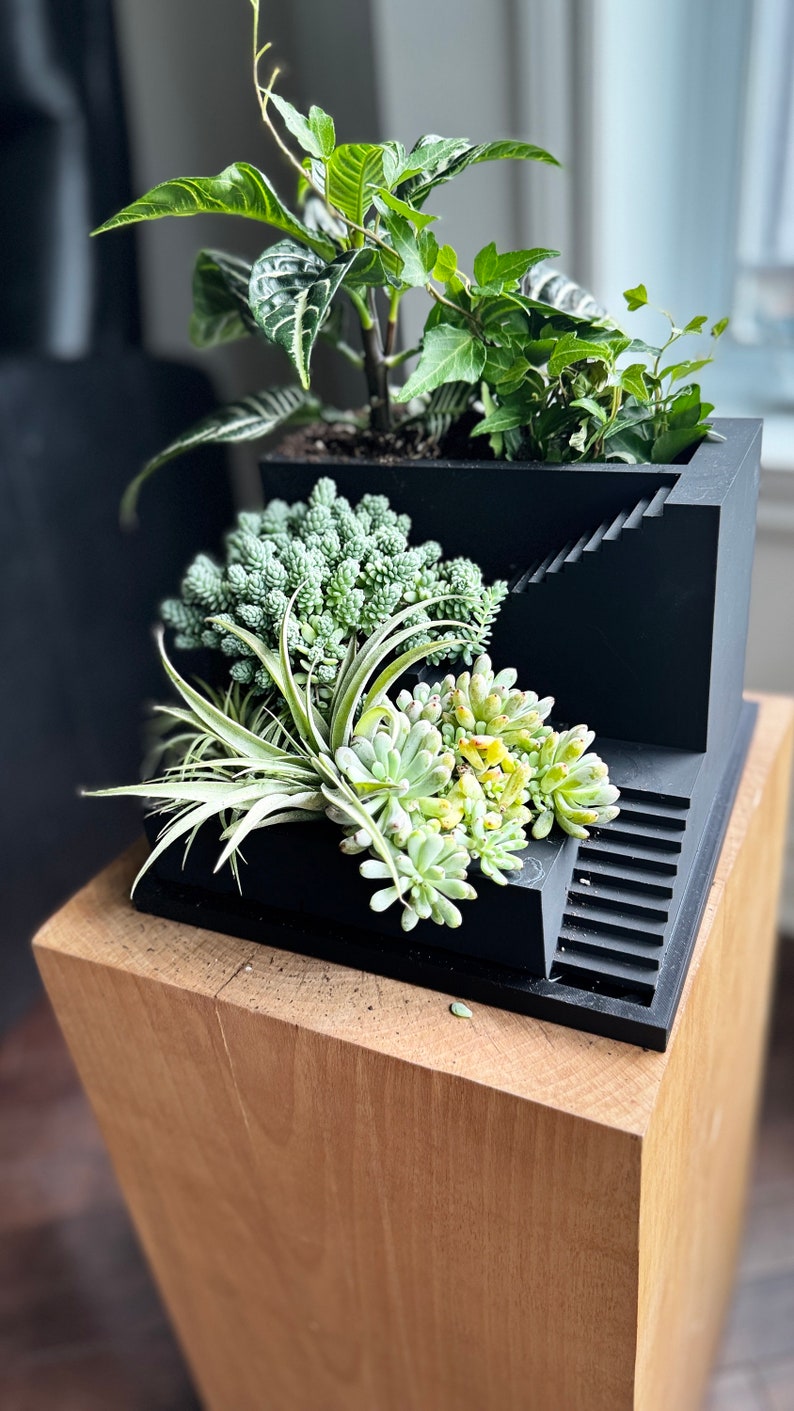 Indoor Staircase Planter Drain Plug and Tray Included - Etsy