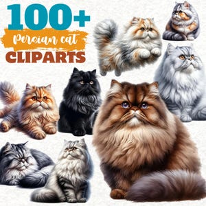Könnte beinhalten: Eine Sammlung von Perserkatzen-Cliparts. Das Bild zeigt verschiedene Perserkatzen in verschiedenen Farben, darunter Schwarz, Braun und Grau. Die Katzen haben langes, flauschiges Fell und ausdrucksstarke Augen. Der Text oben lautet "100+ Persian cat CLIPARTS".