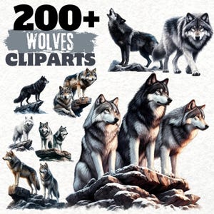 Puede incluir: Una colección de arte digital con múltiples ilustraciones de lobos en varias poses. La imagen incluye el texto "200+ Wolves Cliparts". Los lobos están representados en tonos grises, negros y marrones.