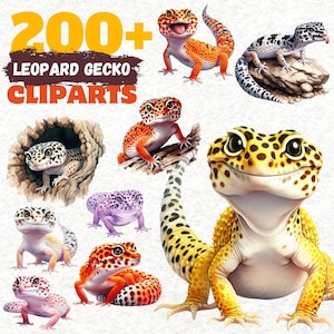 Puede incluir: Una colección de imágenes prediseñadas de gecko leopardo coloridas. La imagen presenta varias ilustraciones de gecko en tonos naranja, amarillo, morado y blanco. El texto en la parte superior dice "200+ LEOPARD GECKO CLIPARTS" en naranja y blanco.