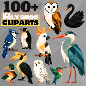 Könnte beinhalten: Eine Sammlung von Low-Poly-Vogel-Cliparts. Das Bild zeigt verschiedene Vögel, darunter eine Eule, ein Schwan, ein Blauhäher, ein Pinguin, ein Kakadu, ein Reiher, eine Ente, ein Nashornvogel, eine Schnee-Eule und ein Kolibri. Der Text "100+ LOW POLY BIRDS CLIPARTS" steht oben.