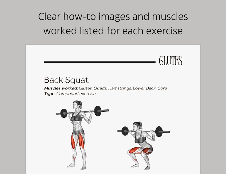 Exercise Library Gym Edition / Execise Glossary for Strength Training ...