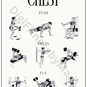 May include: A black and white illustration of different chest exercises. The exercises are labeled "Push", "Press", and "Fly".