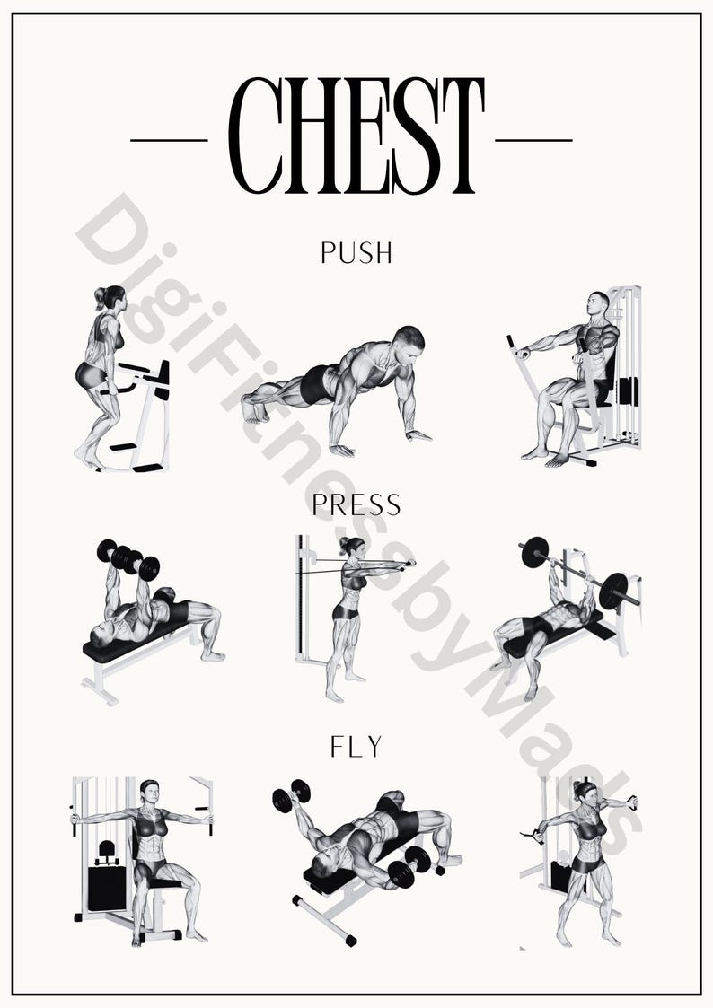 May include: A black and white illustration of different chest exercises. The exercises are labeled "Push", "Press", and "Fly".