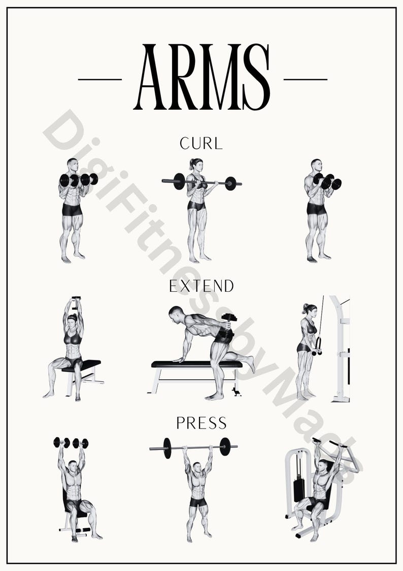 May include: A black and white illustration of different arm exercises using weights. The exercises include curls, extensions, and presses. The text "ARMS" is at the top of the image. The text "CURL", "EXTEND", and "PRESS" are below each set of exercises.
