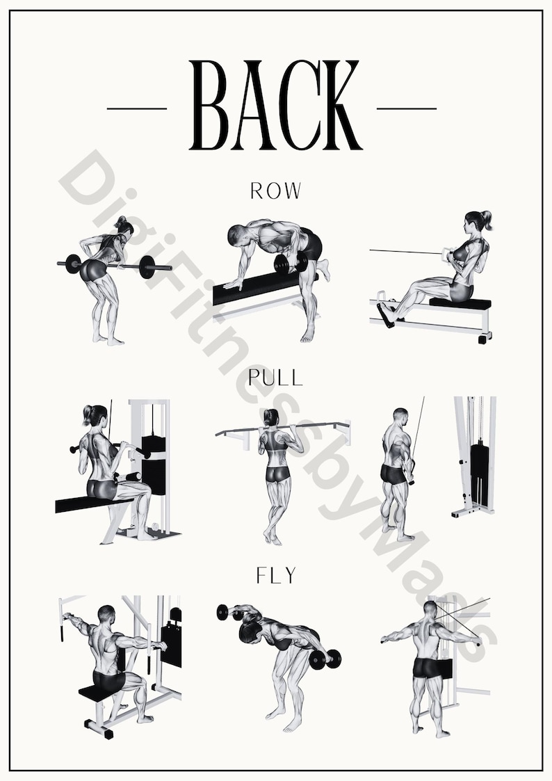 May include: A black and white illustration of different back exercises. The exercises are labeled "ROW", "PULL", and "FLY".