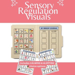 Sensory Regulation Visuals - Calming and Alerting- Sensory Choices