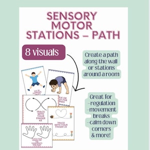 Sensory Motor Pathway Visuals - Sensory Regulation Course - Movement Breaks