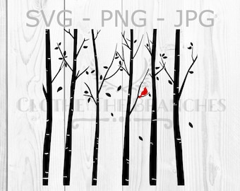 Birch Forest Cardinal Graphic, svg, png, jpg