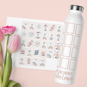 Pregnancy Milestones Water Bottle With Stickers, Expectant Mother Checklist Tumbler, Baby Shower Gift, Bucket Lists Drinkware