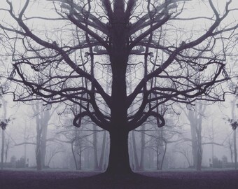 surrealistic dark art photography print 'i live with a ghost'