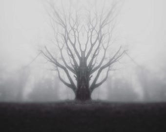 surrealistic dark art photography print 'scarcity'