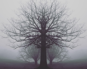 surrealistic dark art photography print 'like electricity'