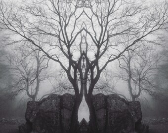 surrealistic dark art photography print 'sibling'
