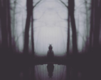 surrealistic dark art photography print 'bluebells, water holes'