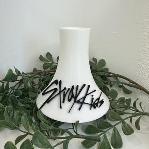 Lightstick Display (Stray Kids)