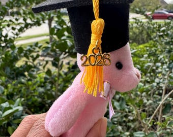 Oso de peluche de recuerdo de graduación – Mini oso de peluche con birrete y borla de graduación – Regalo para la promoción de 2026 – Regalo para graduados – Recuerdo de fiesta de graduación – fotos