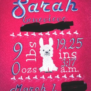 Personalized Embroidered Birth Announcement | Custom Baby Gift | Newborn Nursery Wall Art