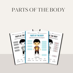 Parts of the body worksheet