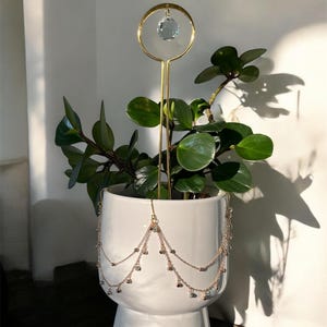 May include: A white ceramic planter with a green plant and a gold-colored metal plant stake with a crystal orb. A gold chain with small beads hangs from the planter's rim. The plant has dark green leaves.