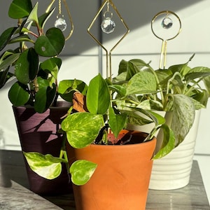 Minimalist Plant Accessory Modern Houseplant Stake Indoor Plant Decor for Pots Aesthetic Plant Support for Home Jungle Style