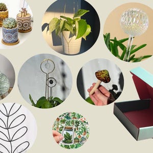 Pflanzenliebhaber Geschenkbox Umweltfreundliches Pflanzenpflegepaket DIY Pflanzen-Terrarium-Kit Pflanzengeschenk für das Indoor-Pflanzen-Starterkit des Gärtners
