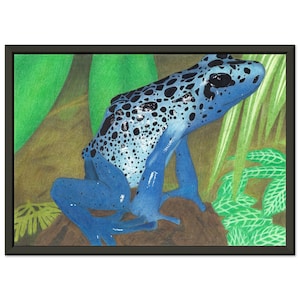 Rana freccia velenosa, poster con cornice in metallo su carta opaca di alta qualità, formato A4/8x12", vivace decorazione murale con animali selvatici della giungla, dopo l'originale formato A4, pastelli a inchiostro e a olio