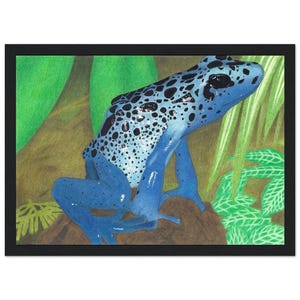 Rana freccia blu velenosa in natura, poster con cornice in legno su carta opaca di alta qualità, formato A4/8x12", vivace decorazione da parete con fauna selvatica tropicale