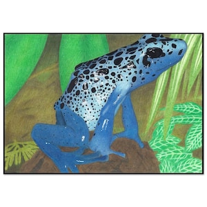 Rana dardo venenosa azul en un bosque tropical. Póster clásico en papel mate, tamaño A4 a A2. Arte mural natural vibrante, basado en tinta y crayones originales.