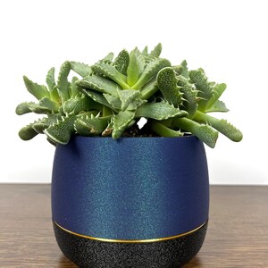 Starlight Planter Pot, with Excellent Mesh Drainage, Integrated Saucer, Small, Medium, and Large, 3 4 5 Inch