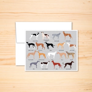 Tarjeta de felicitación en blanco de la carta de colores de greyhound, Tarjeta de animal divertido, Aniversario