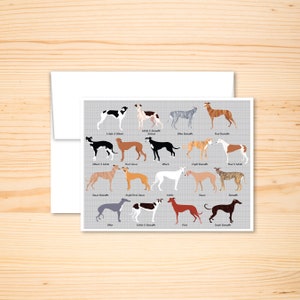 Greyhound color chart blank greeting card, Funny Animal Card, Anniversary